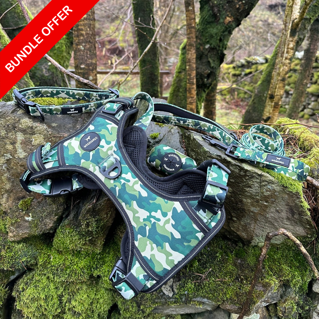 Green Camo Full Bundle