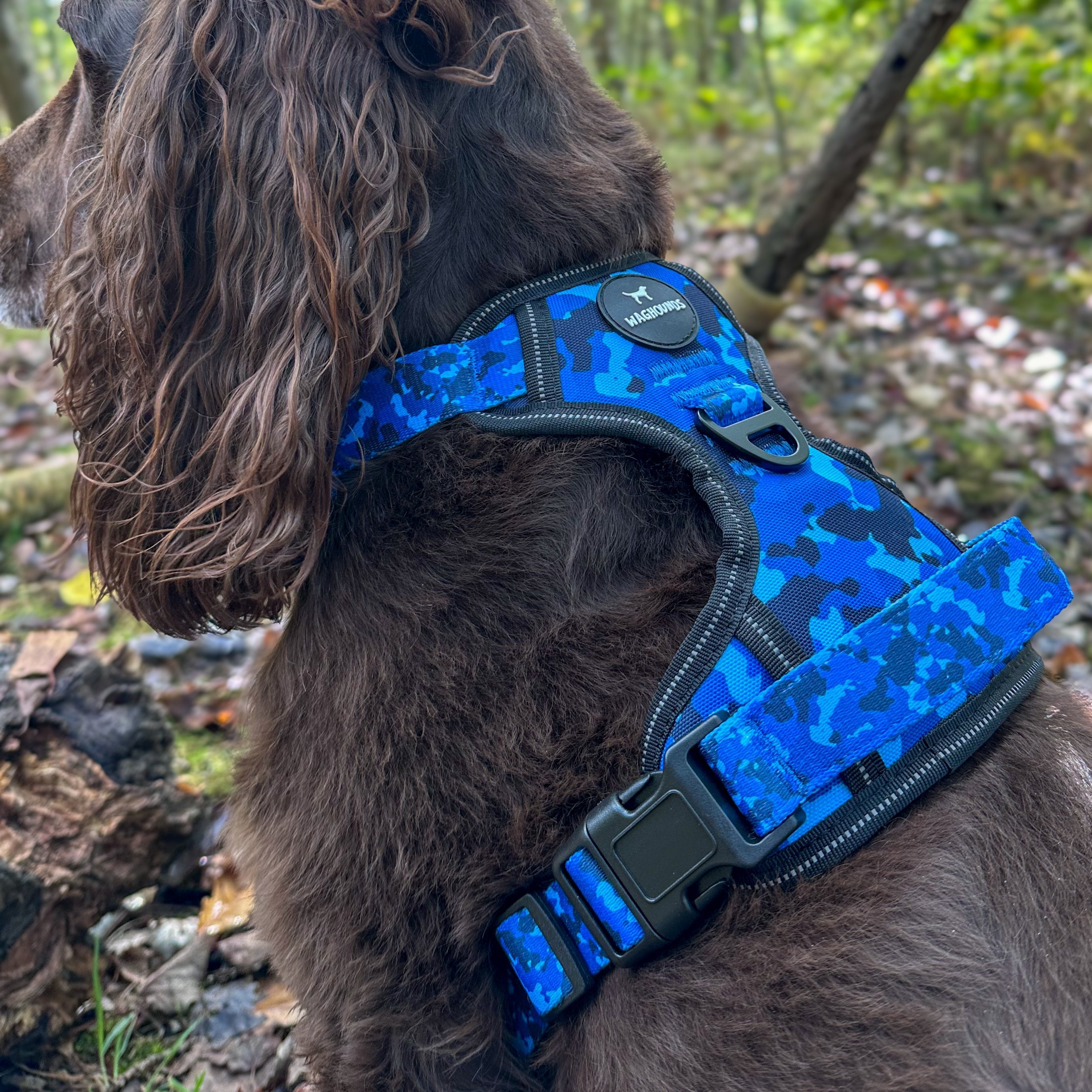 Control Dog Harness - Blue Camo *NEW CHEST SIZING*