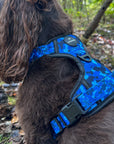Control Dog Harness - Blue Camo *NEW CHEST SIZING*