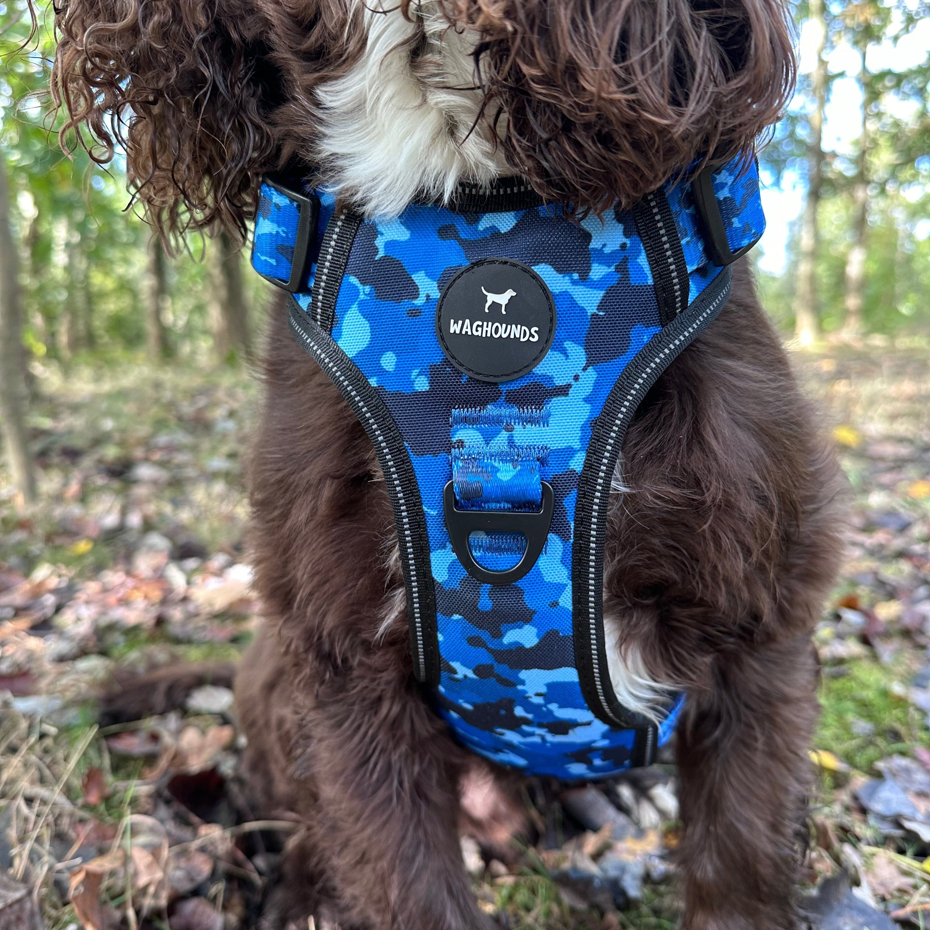 Blue Camo Full Bundle