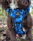 Blue Camo Full Bundle