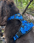 Blue Camo Full Bundle