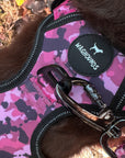 Pink Camo Full Bundle