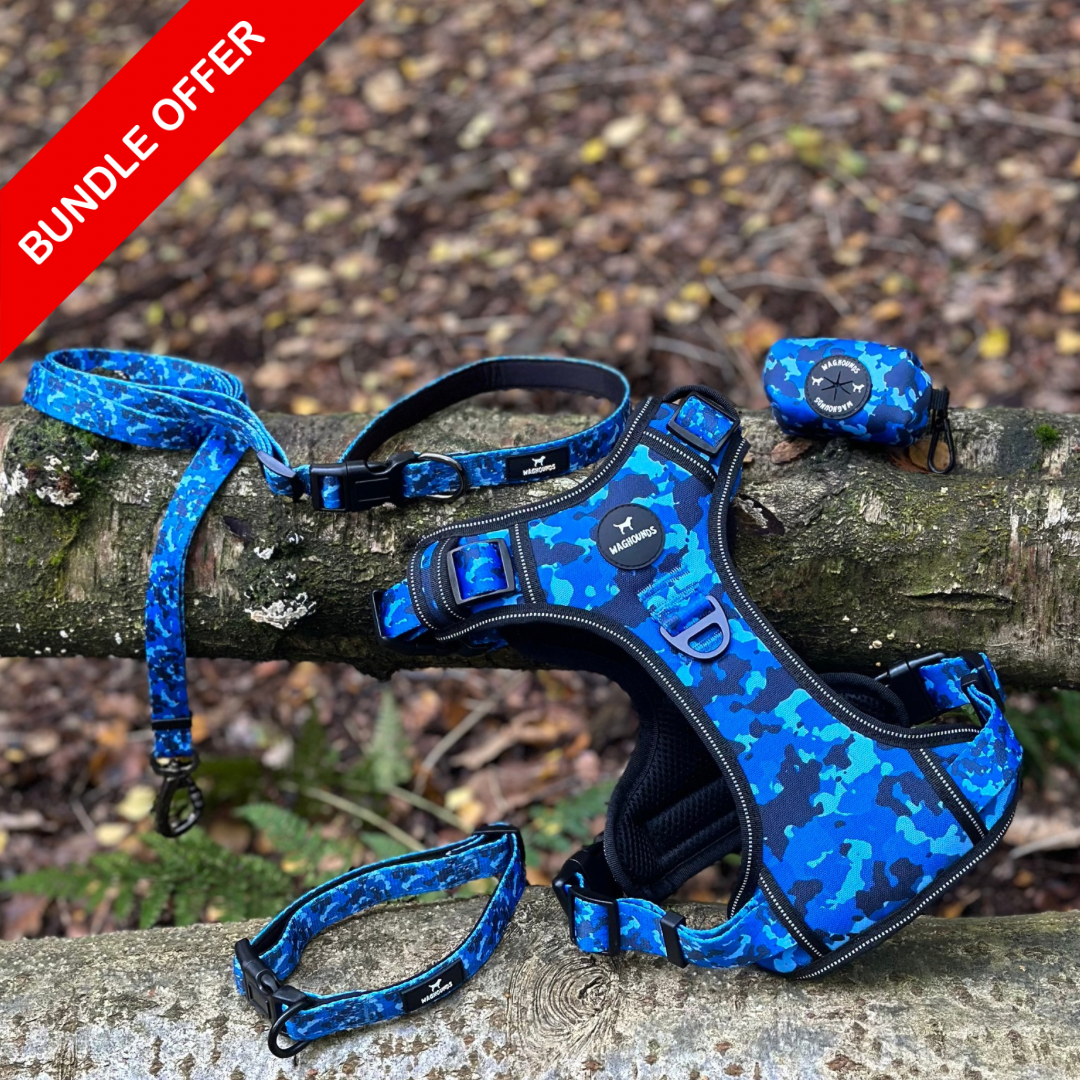 Blue Camo Full Bundle