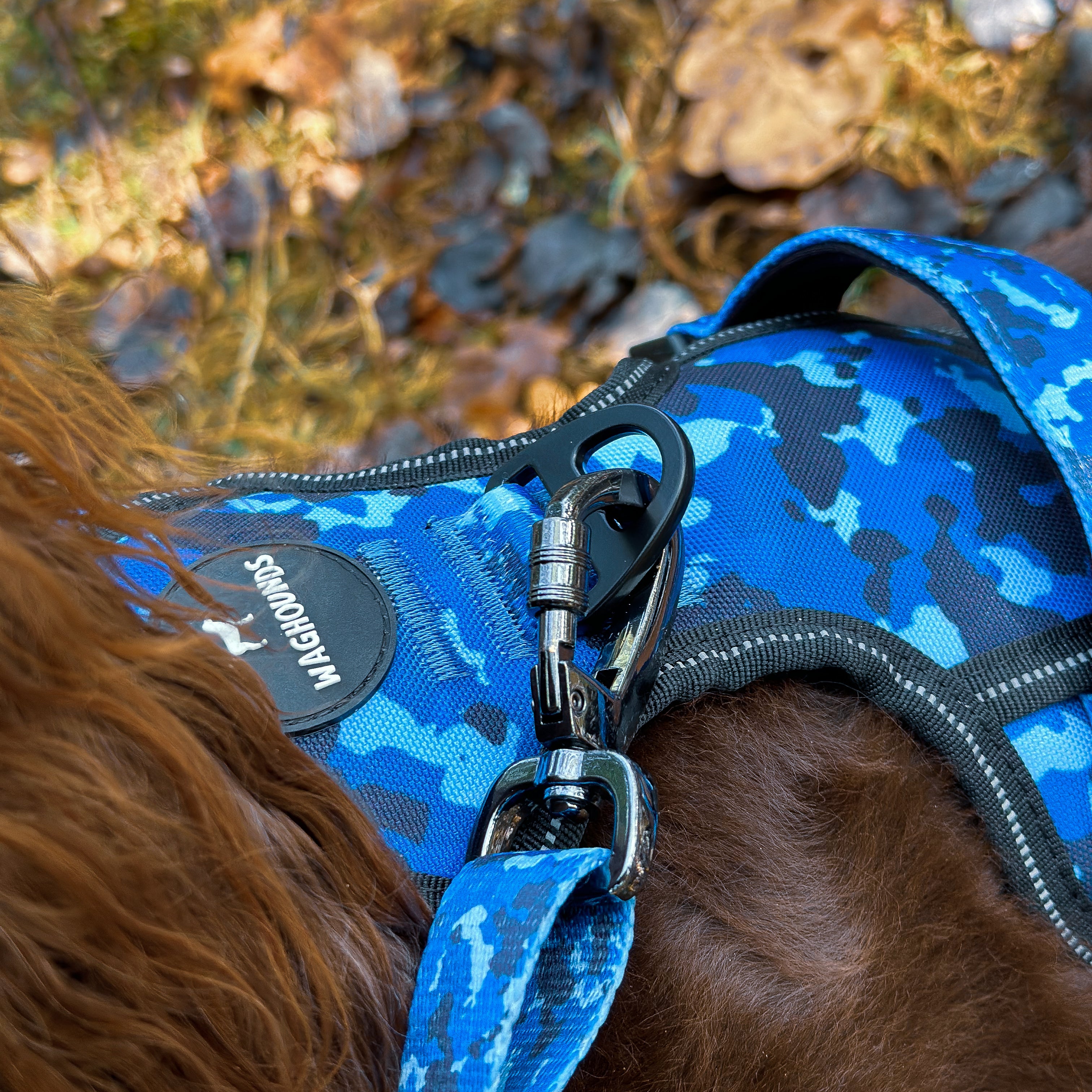Multi-way Adjustable Dog Lead - Blue Camo