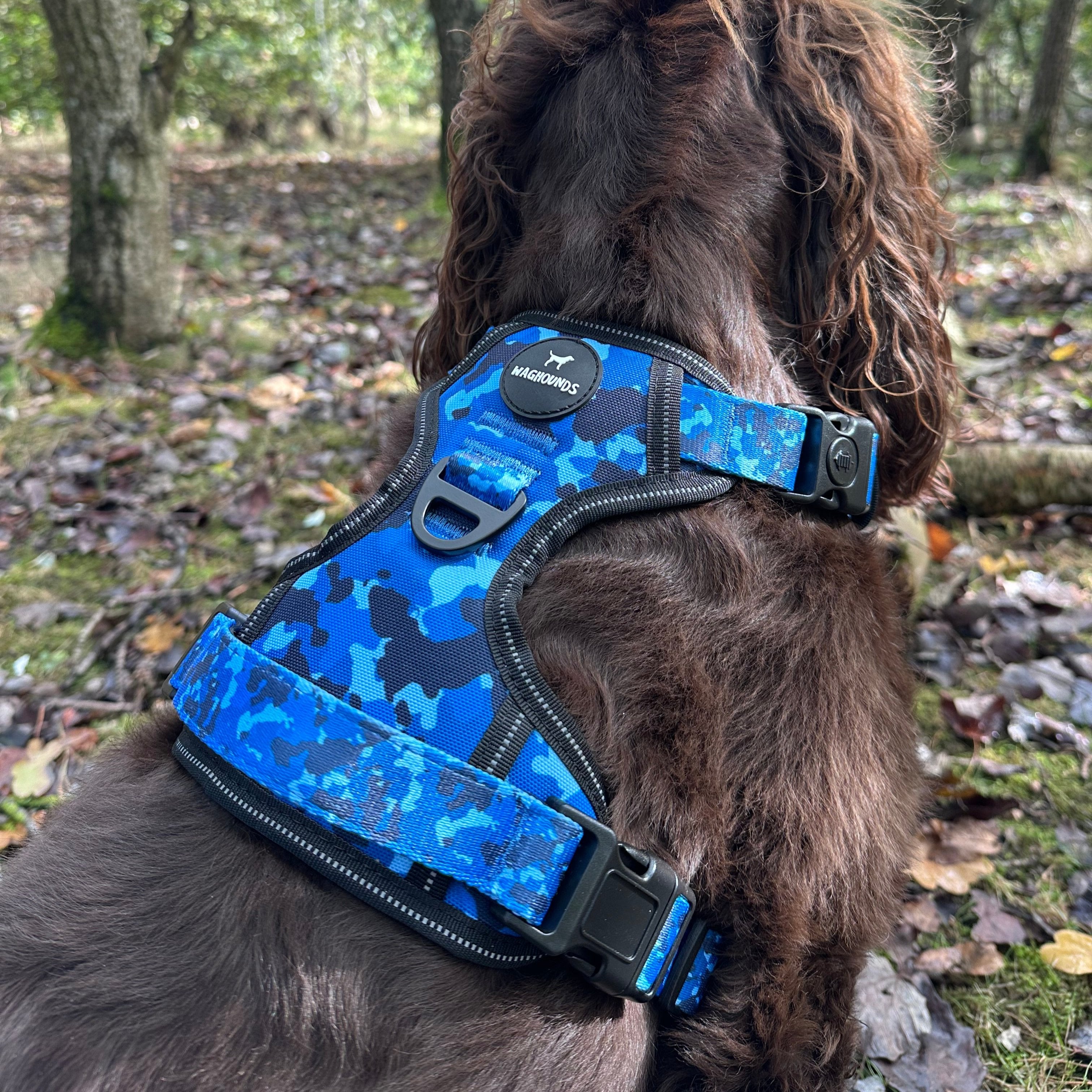Blue Camo Full Bundle