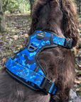 Blue Camo Full Bundle