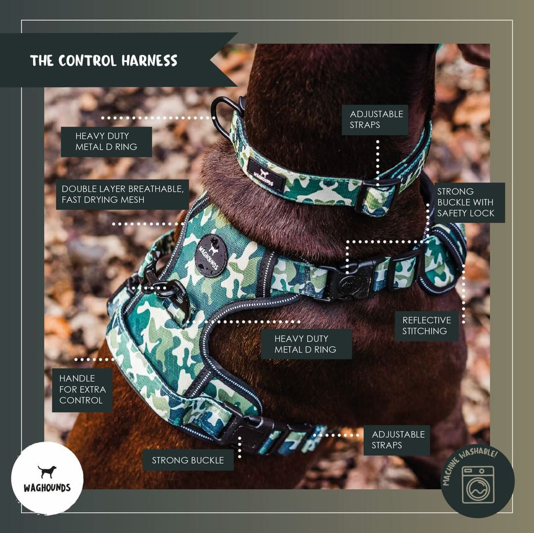 Green Camo Full Bundle
