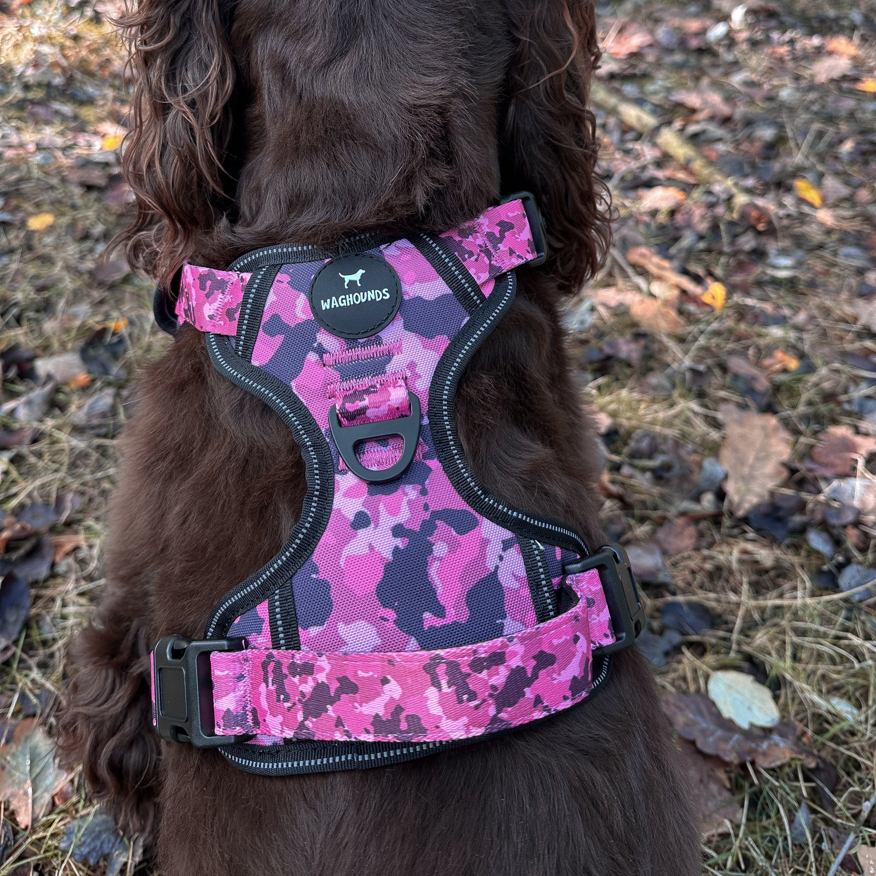 Control Dog Harness - Pink Camo *NEW CHEST SIZING*