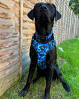 Control Dog Harness - Blue Camo *NEW CHEST SIZING*