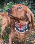 Handmade Polar Fleece Dog Snood | Brown Tartan