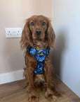 Control Dog Harness - Blue Camo *NEW CHEST SIZING*