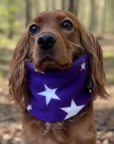 Handmade Polar Fleece Dog Snood | Purple Star ⭐️