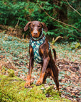 Control Dog Harness - Green Camo