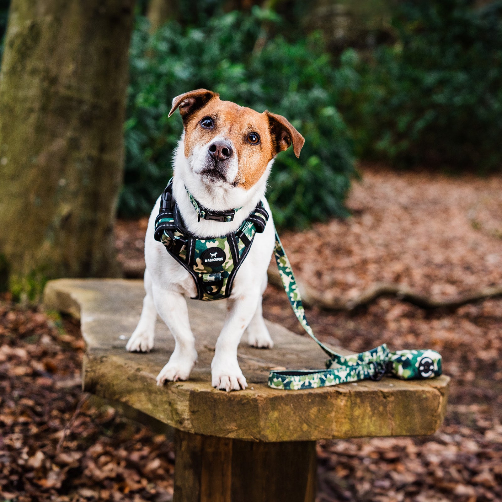 Dog Lead - Green Camo