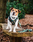 Dog Lead - Green Camo