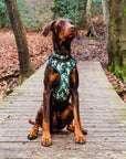 Control Dog Harness - Green Camo