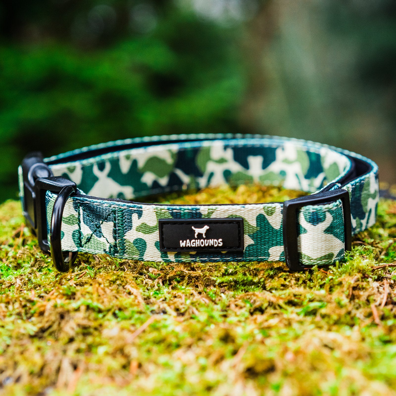 Adjustable Dog Collar - Green Camo