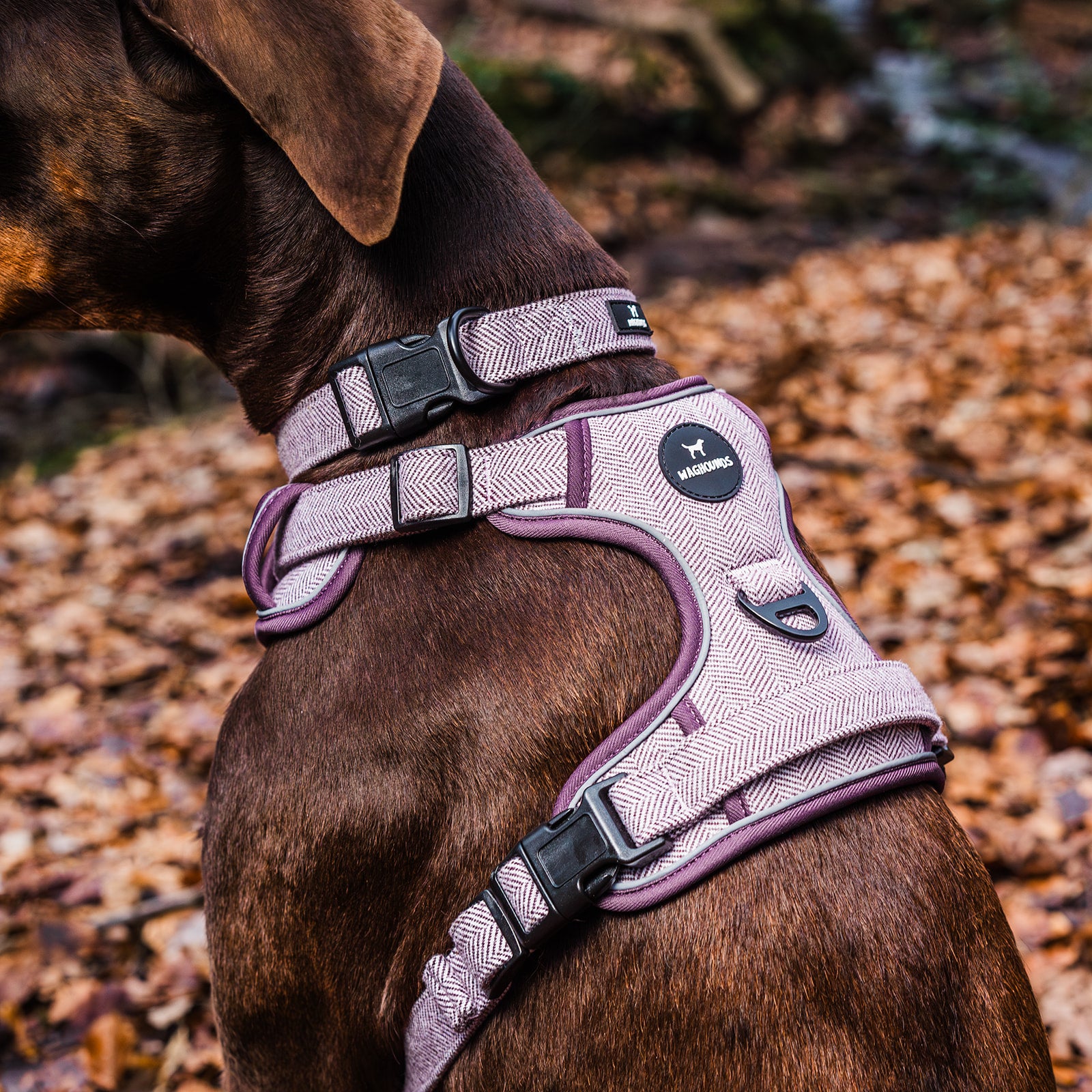 Control Dog Harness - Purple Herringbone