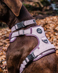 Control Dog Harness - Purple Herringbone