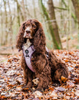 Control Dog Harness - Purple Herringbone