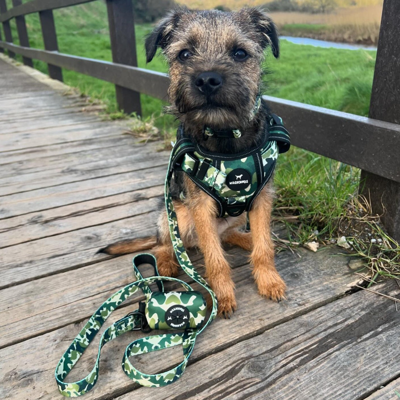 Green Camo Full Bundle