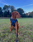 Control Dog Harness - Blue Camo *NEW CHEST SIZING*