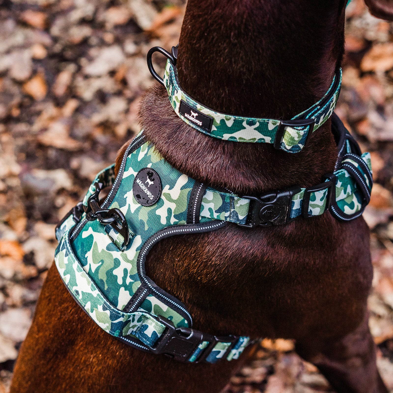 Control Dog Harness - Green Camo