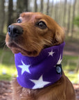Handmade Polar Fleece Dog Snood | Purple Star ⭐️