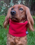 Handmade Polar Fleece Dog Snood | Plain (Choose Colour)