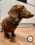 Handmade Polar Fleece Dog Snood | Brown Tartan
