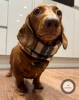 Handmade Polar Fleece Dog Snood | Brown Tartan