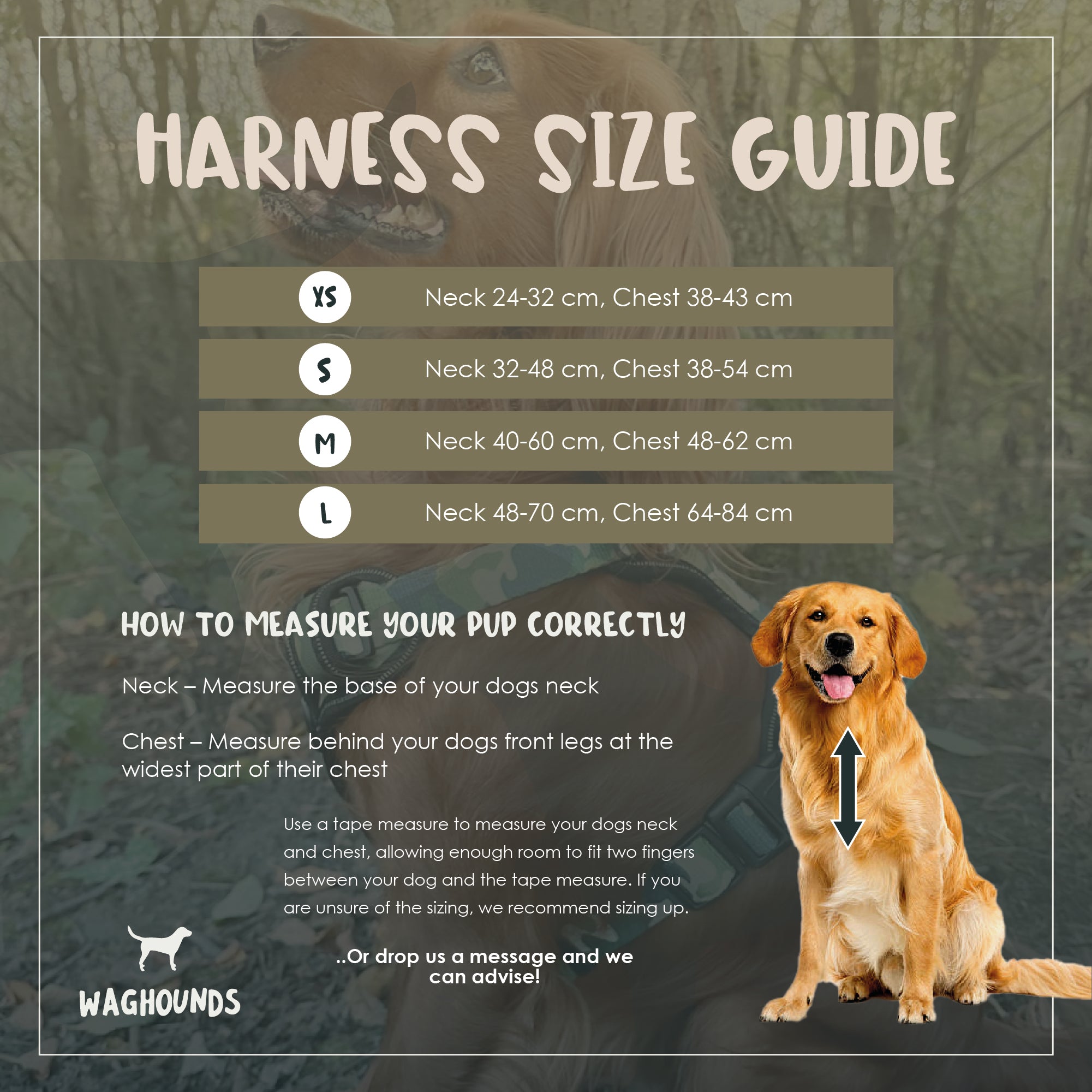 Control Dog Harness - Dotty
